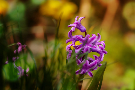 1756382 (a): :2048x1365